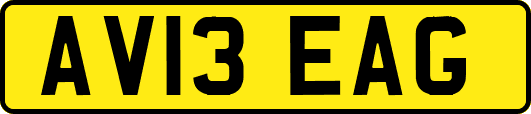 AV13EAG