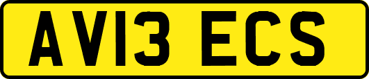 AV13ECS