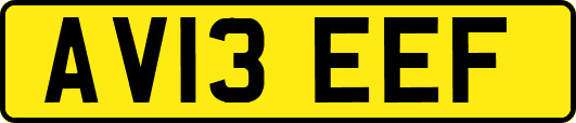 AV13EEF