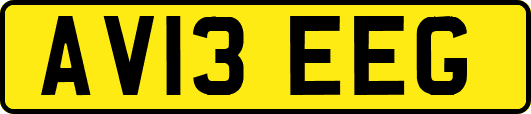 AV13EEG