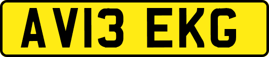 AV13EKG