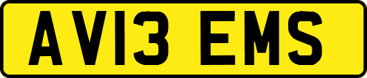 AV13EMS