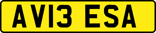 AV13ESA