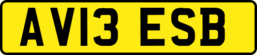 AV13ESB
