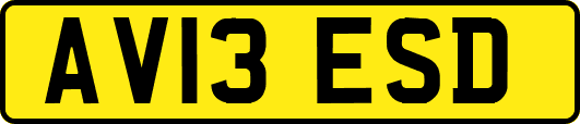 AV13ESD
