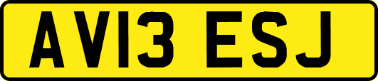 AV13ESJ