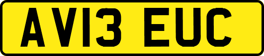 AV13EUC