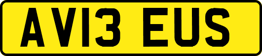 AV13EUS