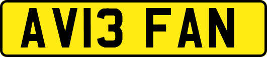 AV13FAN