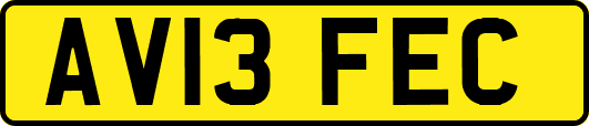AV13FEC