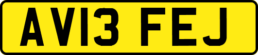 AV13FEJ