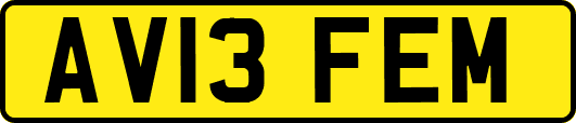 AV13FEM
