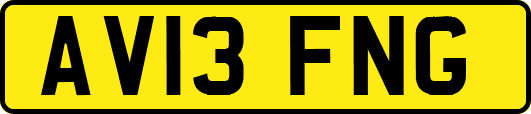 AV13FNG