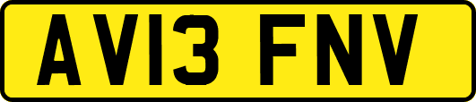 AV13FNV