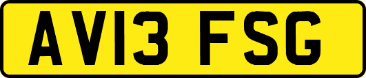 AV13FSG
