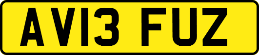 AV13FUZ