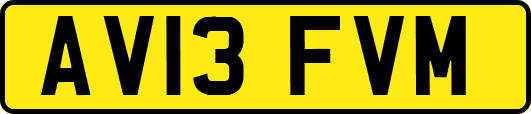 AV13FVM