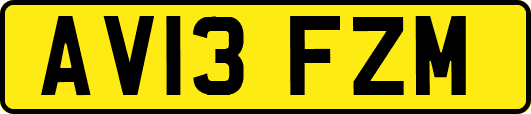 AV13FZM