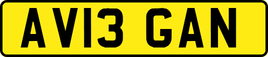 AV13GAN