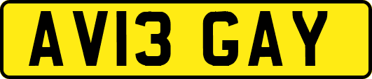 AV13GAY