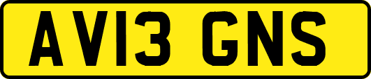 AV13GNS