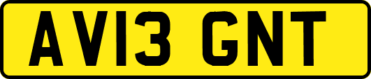 AV13GNT