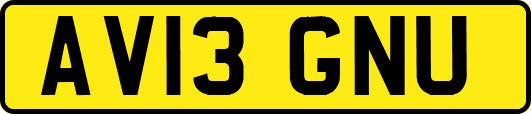 AV13GNU