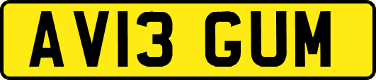 AV13GUM