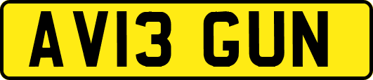 AV13GUN