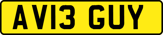 AV13GUY