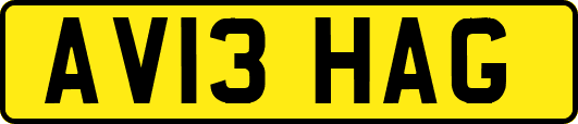 AV13HAG