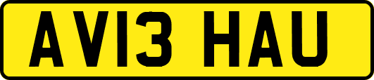 AV13HAU