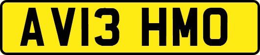 AV13HMO