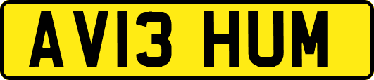 AV13HUM