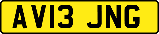 AV13JNG