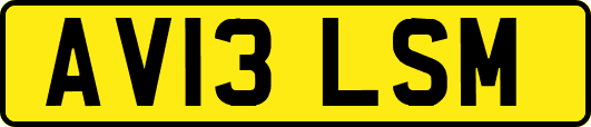 AV13LSM