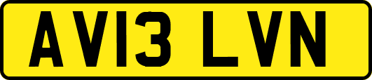 AV13LVN