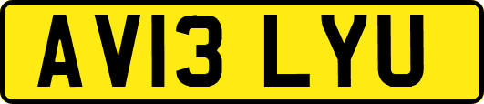 AV13LYU