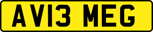 AV13MEG