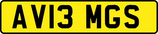 AV13MGS