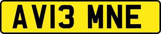 AV13MNE