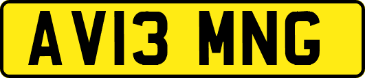 AV13MNG