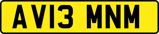 AV13MNM
