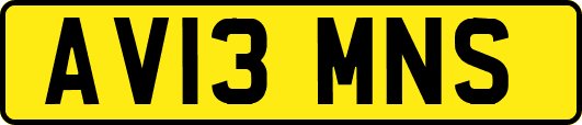 AV13MNS
