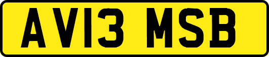 AV13MSB