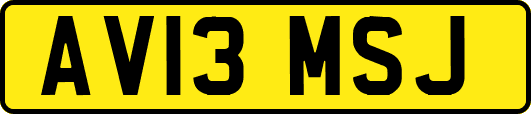 AV13MSJ