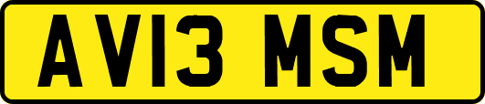 AV13MSM