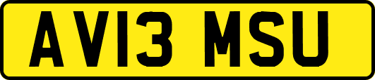 AV13MSU