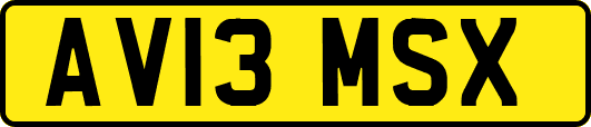 AV13MSX