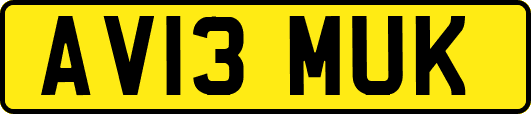 AV13MUK